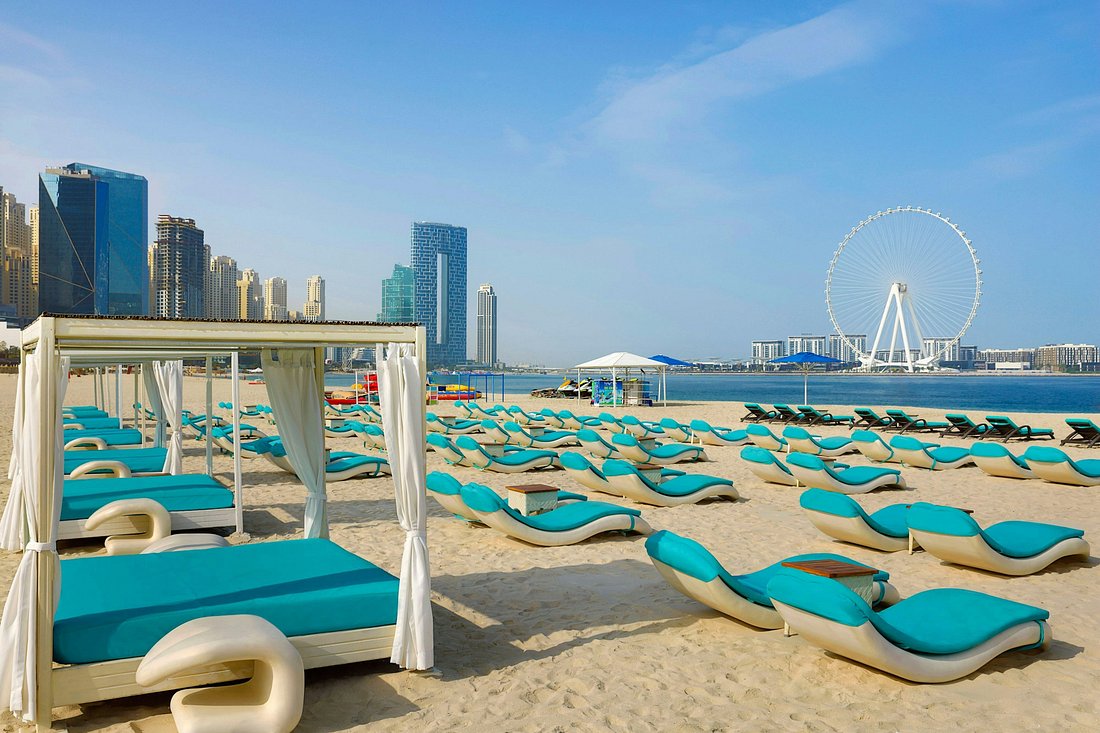 the-beach-area-of-the.jpg