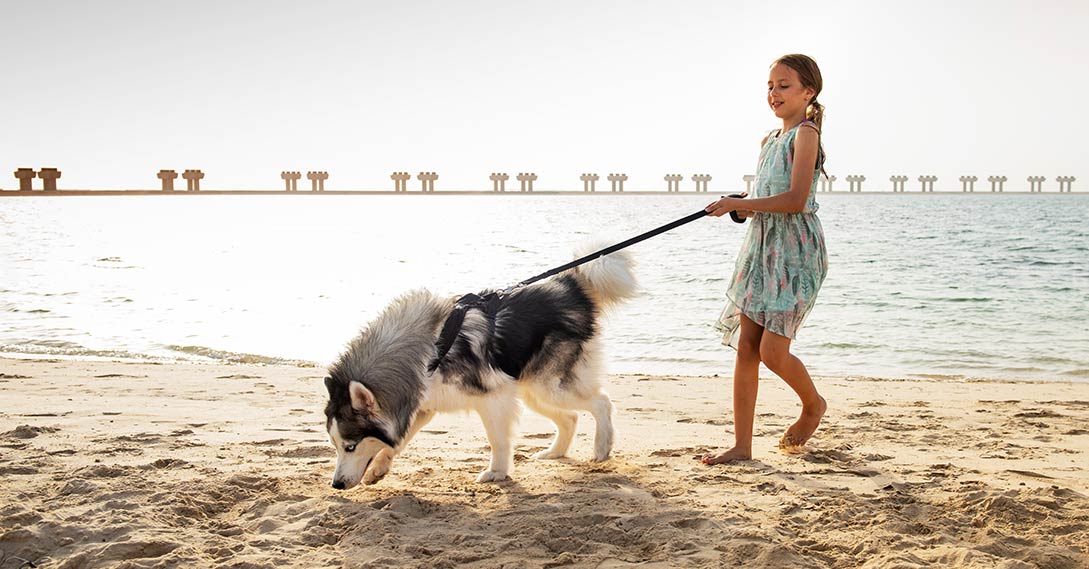 آشنائی با 30 هتل برتر حیوان دوست (Pet Friendly) دبی